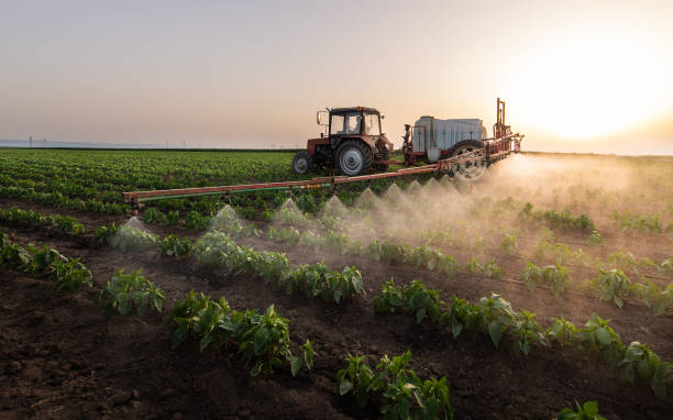 Best Commercial Pest Control Services  in Bedford, VA