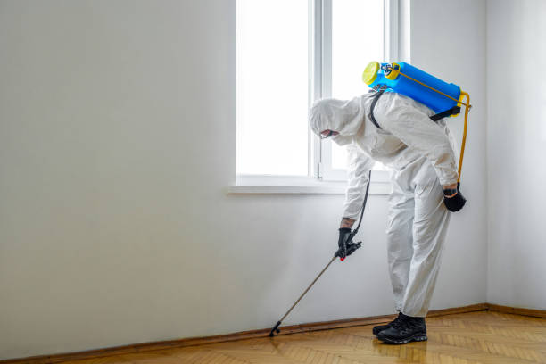 Best Emergency Pest Control  in Bedford, VA